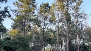 Terreno em Santiago do Cacém