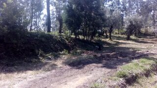 Land for sale in Penacova, Portugal — €38,000