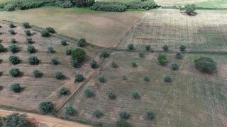 Land for sale in Santiago do Cacém, Portugal — €1,485,000