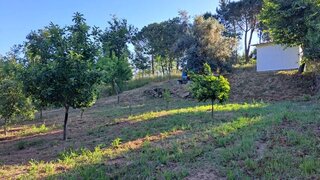 Land for sale in Tábua, Portugal — €6,500