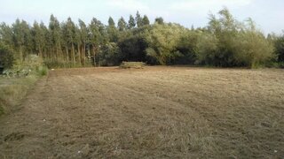 Land for sale in Cantanhede, Portugal — €5,000