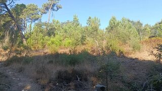 Land for sale in Sesimbra, Portugal — €25,000