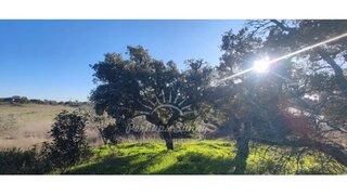 Land for sale in Grândola, Portugal — €86,150