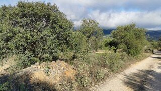 Land for sale in Torres Novas, Portugal — €6,000