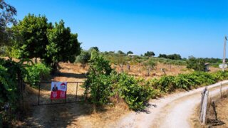 Land for sale in Nisa, Portugal — €57,500