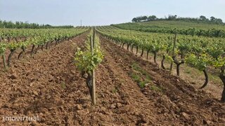 Land for sale in Cadaval, Portugal — €33,000