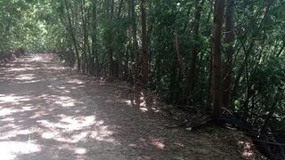 Terreno · 1450 m² · 2450 €