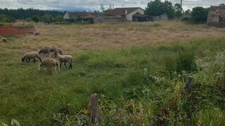 Land for sale in Soure, Portugal — €55,000