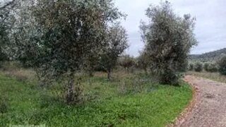 Land · 23,750 m² · €18,500