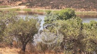 Land for sale in Moura, Portugal — €20,000