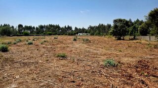 Terreno em Mira