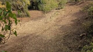 Land for sale in Arruda dos Vinhos, Portugal — €55,000