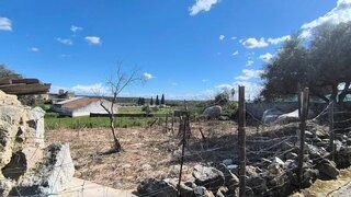 Terreno em Vidigueira