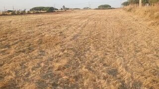 Land for sale in Sintra, Portugal — €65,000