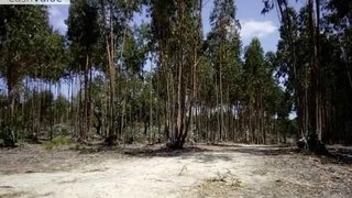 Land for sale in Odemira, Portugal — €345,000