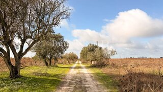 Land for sale in Palmela, Portugal — €650,000