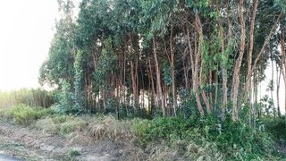Land for sale in Torres Vedras, Portugal — €22,000