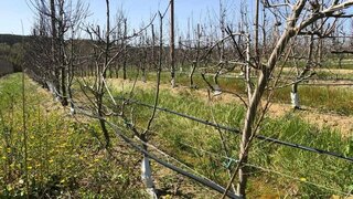 Land for sale in Torres Vedras, Portugal — €400,000