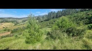 Terreno em Torres Vedras