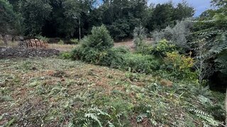 Terreno em Penacova