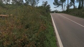 Terreno de 1800 m² em Coimbra