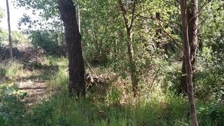 Land for sale in Cantanhede, Portugal — €32,000