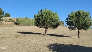 Terreno em Azambuja · 8000 m² · 36 000 €