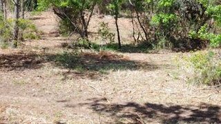 Land for sale in Loures, Portugal — €50,000
