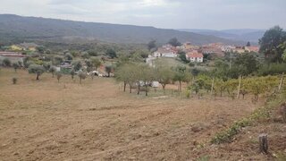 Land · 5,000 m² · €50,000