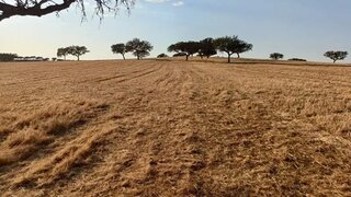 Land for sale in Alandroal, Portugal — €1,000,000