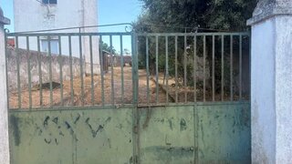 Terreno em Alter do Chão