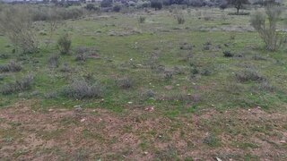Terreno em Elvas