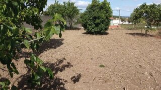 Land for sale in Mafra, Portugal — €66,000