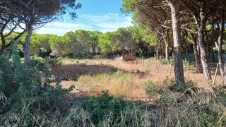 Land for sale in Sesimbra, Portugal — €30,000