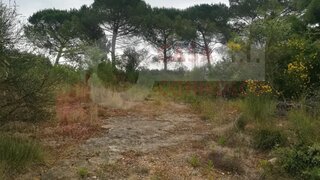 Terreno de 5972 m² em Coimbra