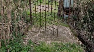 Terreno em Coimbra · 1800 m² · 10 000 €