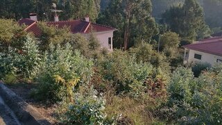 Terreno de 800 m² em Coimbra