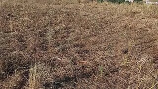 Land for sale in Sobral de Monte Agraço, Portugal — €150,000