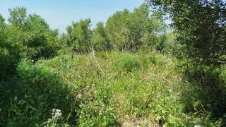 Land for sale in Sintra, Portugal — €200,000