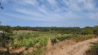 Terreno · 2500 m² · 12 500 €
