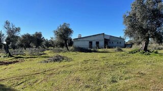 Land for sale in Alvito, Portugal — €350,000