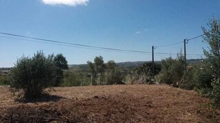 Terreno para venda em Torres Vedras, Portugal — 36 500 €