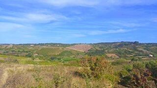 Terreno em Alenquer · 2000 m² · 64 900 €