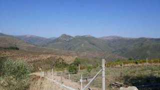 Land for sale in Arganil, Portugal — €25,000