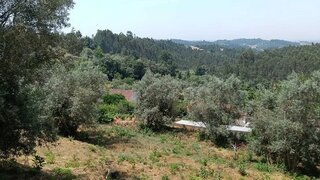 Terreno de 600 m² em Coimbra