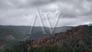 Terreno em Figueiró dos Vinhos