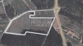 Terreno em Cantanhede · 30 000 m² · 235 000 €