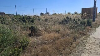 Terreno em Palmela