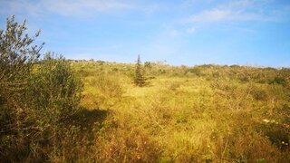 Land for sale in Loures, Portugal — €30,000