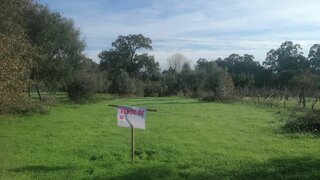 Terreno em Coimbra · 3720 m² · 90 000 €